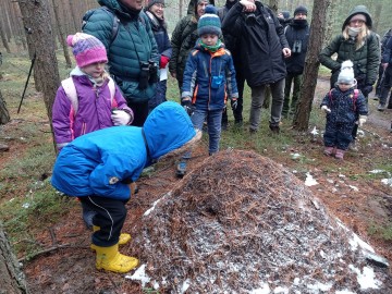 Ptakoliczenie’ 2023 w Budach Kałkach, pod egidą Jemiołuszki, 